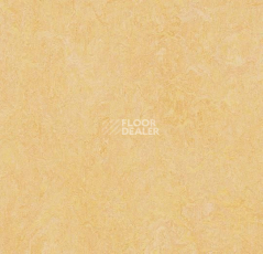 Линолеум Forbo Marmoleum Marbled Authentic 3846 natural corn фото 1 | FLOORDEALER